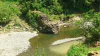 berkcan çiçek